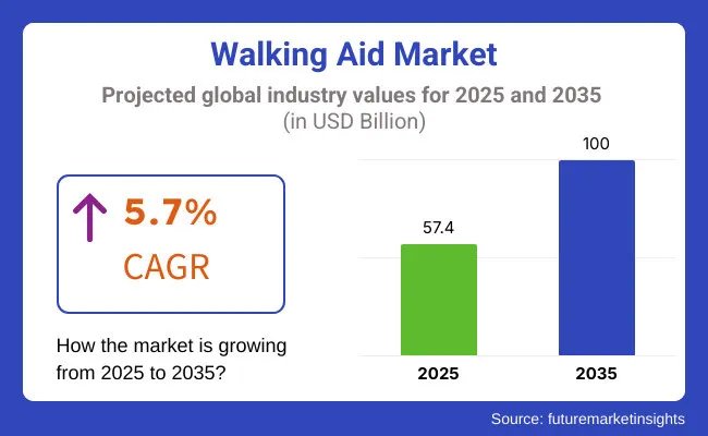 Walking Aid Market Forecast: Size, Trends, and Growth (2025-2035)